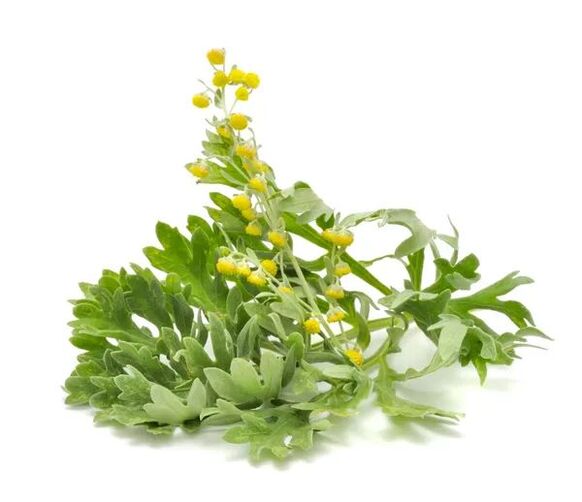 zdravljenje papiloma s tradicionalnimi metodami